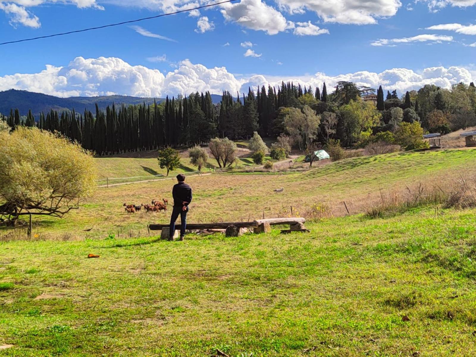 Agriturismo Podere Le Fornaci Greve in Chianti Exteriör bild